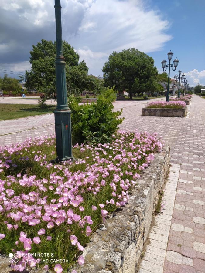 Hause Zorbas Aparthotel Paralia Dionysiou Buitenkant foto